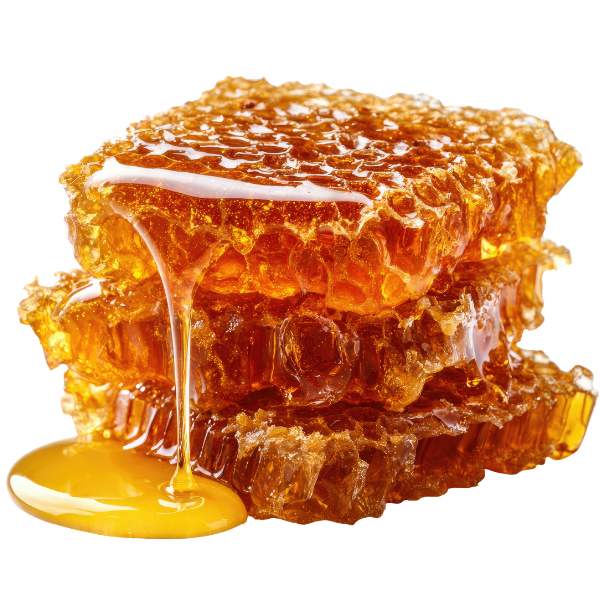 Chaga