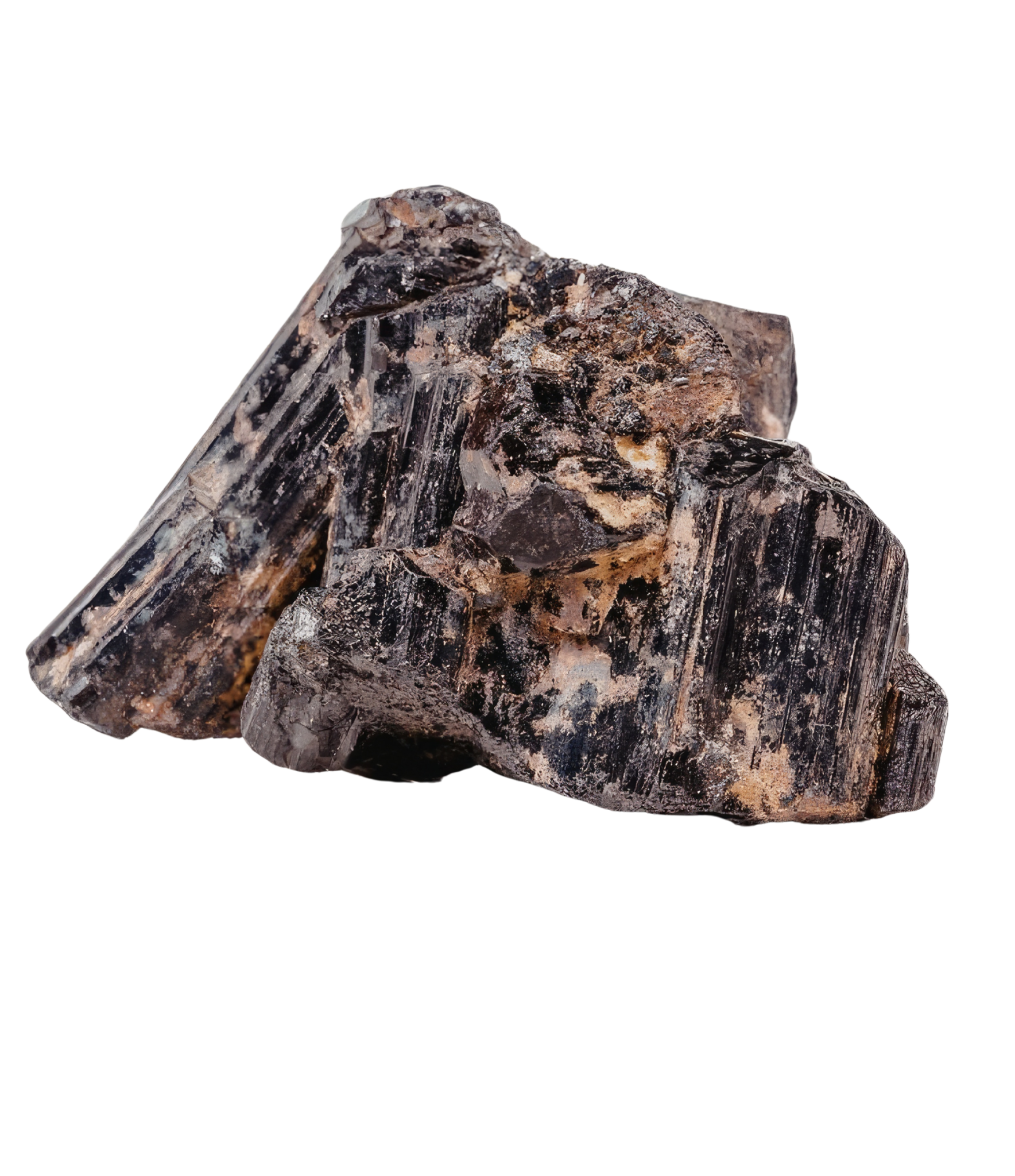 Chaga
